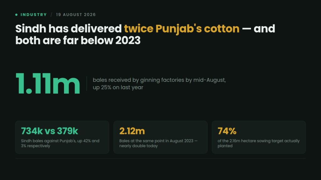 Data card: Pakistan's ginning factories received 1.11 million cotton bales by mid-August 2026, up 25%, with Sindh at 734,000 bales up 42% against Punjab's 379,000 up 3%, compared with 2.12 million bales at the same point in 2023