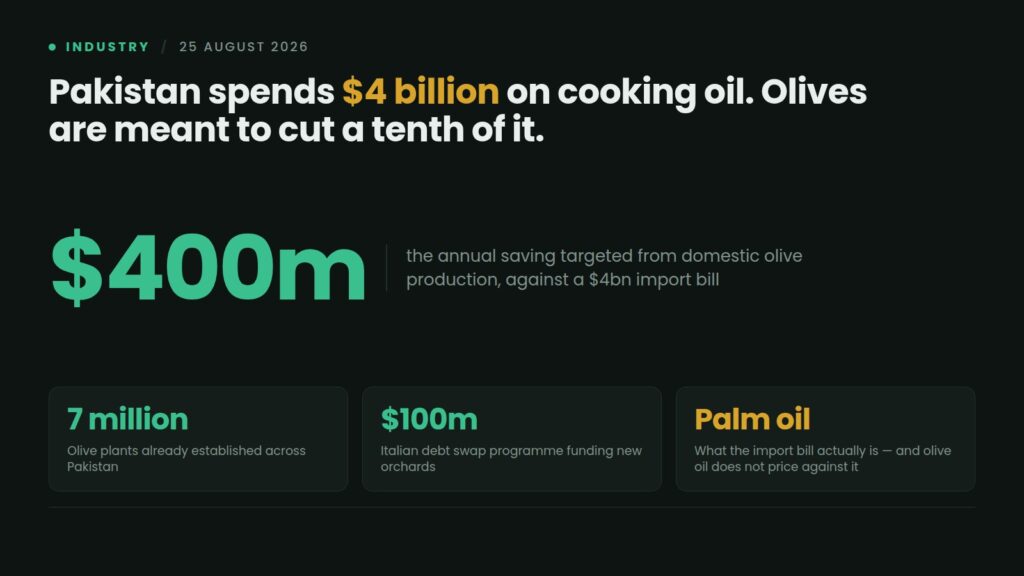 Data card: Pakistan's National Olive Value Chain Policy targets saving $400 million a year against a $4 billion edible oil import bill, with 7 million olive plants established and a $100 million Italian debt swap funding new orchards