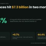 Data card: Remittances hit $7.3 billion in two months, with 68.3 percent of August's inflow from four countries, up 16.5 percent year-on-year to $3.656 billion but only 0.7 percent on July, and 44.4 percent from Saudi Arabia and the UAE alone